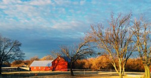 Autumn Barns