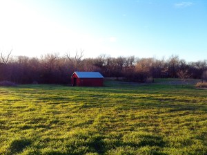 Another Gorgeous Sunset