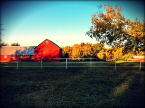 Autumn Barn
